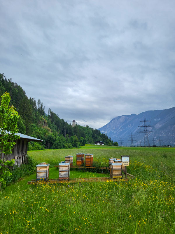 Rondwandeling Silz, Tirol